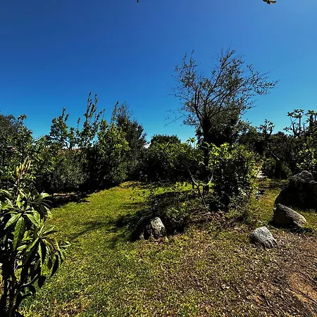 Pioppa For 4 Сasa de vacaciones