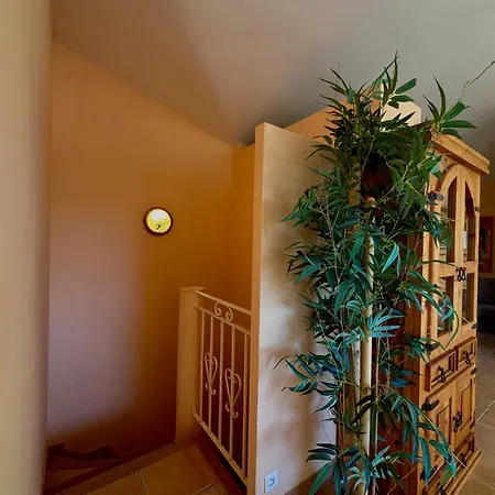 Pioppa For 4 Casa de Férias Porto-Vecchio (Corsica)