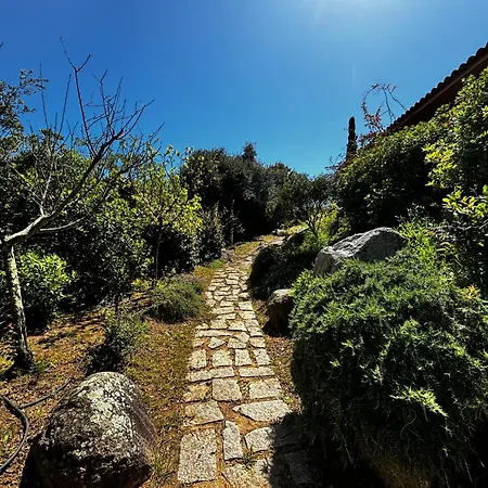 Casa de Férias Pioppa For 4 Porto-Vecchio (Corsica)